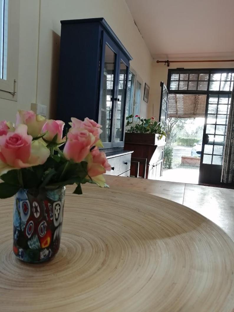 Bb Villa Bolgheri Mare Доноратико Екстериор снимка