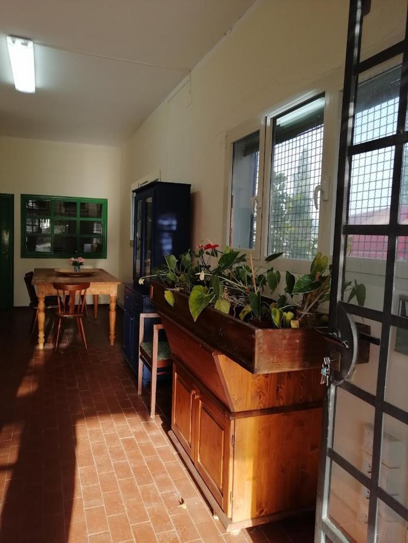 Bb Villa Bolgheri Mare Доноратико Екстериор снимка