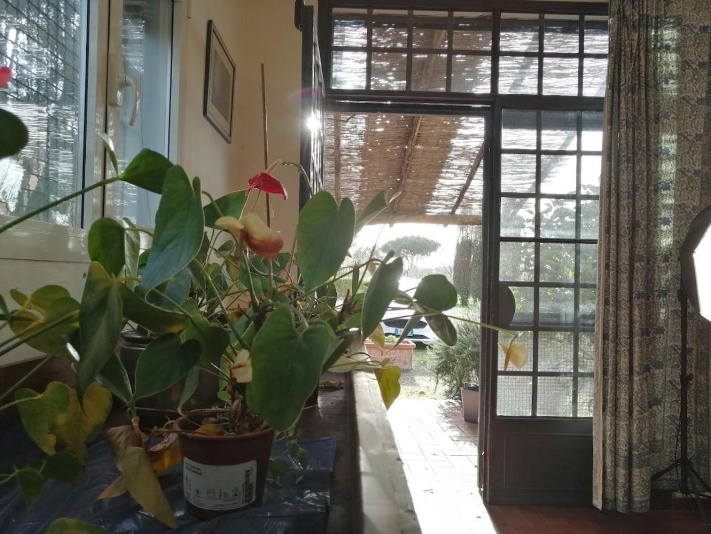 Bb Villa Bolgheri Mare Доноратико Екстериор снимка